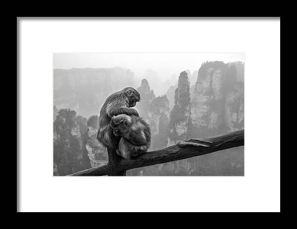 Ape Framed Print featuring the photograph Look For Fleas by Gunarto Song