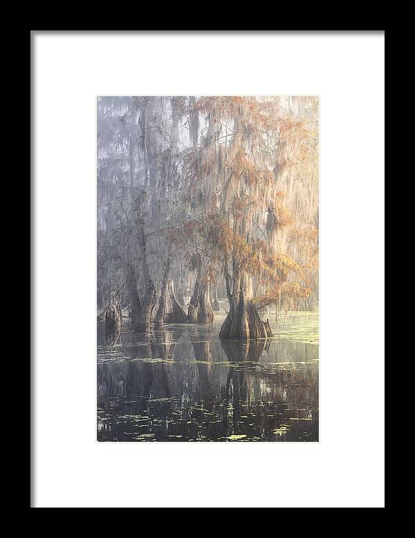 Louisiana Framed Print featuring the photograph Louisiana Swamp by Roberto Marchegiani