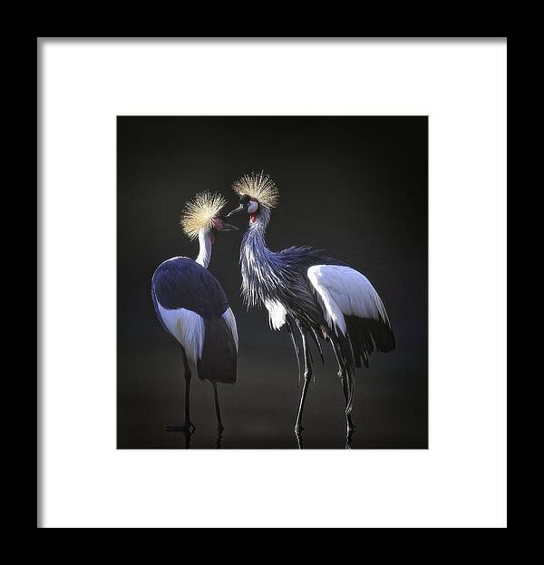 Crane Framed Print featuring the photograph Love You ... by Anna Cseresnjes