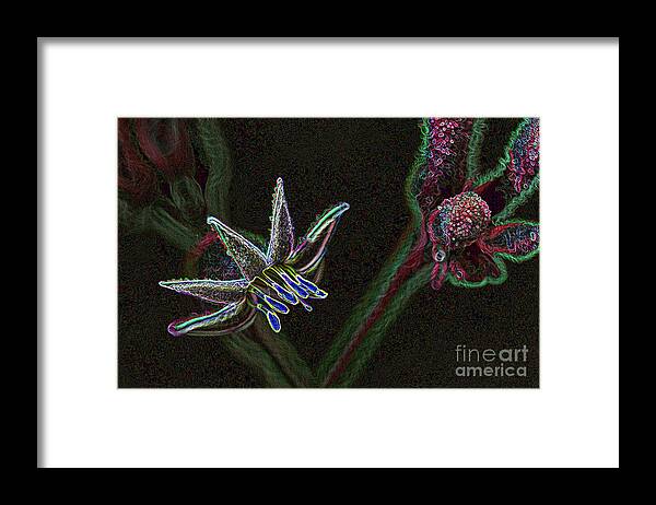 Black Framed Print featuring the photograph Luminescent Flora by Roslyn Wilkins