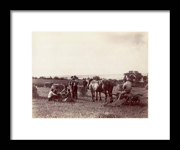 Horse Framed Print featuring the photograph Lunch Break by Frank Meadow Sutcliffe