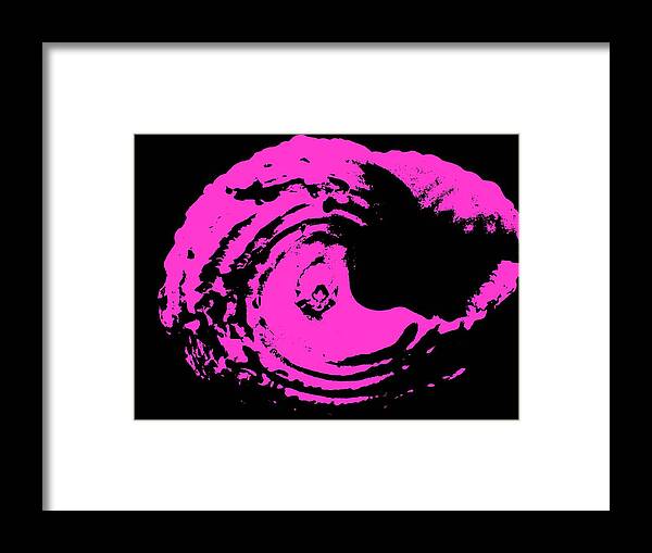 Magenta Framed Print featuring the photograph Magenta Fluke by Fred Bailey