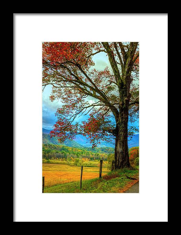 Appalachia Framed Print featuring the photograph Majestic by Debra and Dave Vanderlaan