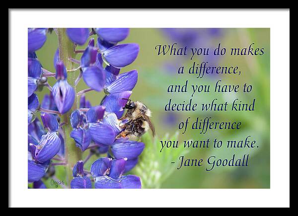 Make A Difference Framed Print featuring the mixed media Make A Difference - Motivational Nature Art by Omaste Witkowski by Omaste Witkowski