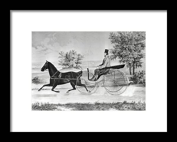 People Framed Print featuring the photograph Man Driving Horse And Buggy In Summer by Bettmann