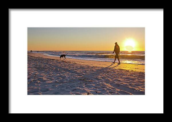 Sunrise Photographs Framed Print featuring the photograph Man's Best Friend on Beach by Phil Mancuso