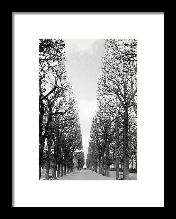 Scenics Framed Print featuring the photograph Marco Polo Garden, Boulevard Saint by Walter Bibikow