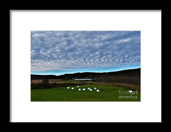 Autumn Framed Print featuring the photograph Marshmallow Field by Dani McEvoy