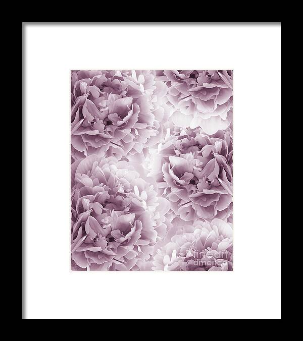 Collage Framed Print featuring the photograph Mauve Peonies Dream #1 #floral #decor #art by Anitas and Bellas Art