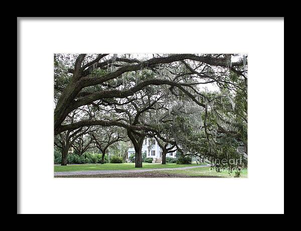 Mcleod Framed Print featuring the photograph McLeod Plantation by Flavia Westerwelle