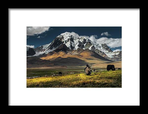Grass Framed Print featuring the photograph Meadow Field With Snow Mountain by Coolbiere Photograph