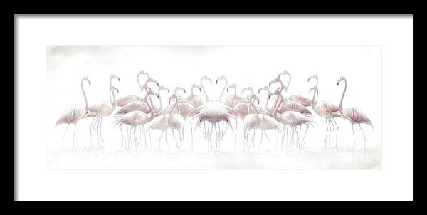 Mirrored Framed Print featuring the photograph Meeting by Anna Cseresnjes