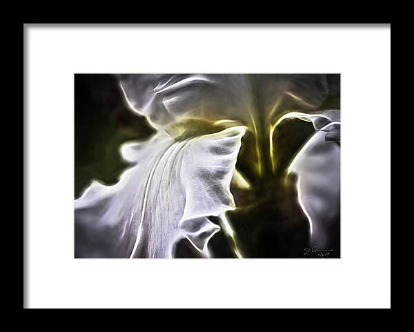 Evie Framed Print featuring the photograph Midnight Iris by Evie Carrier