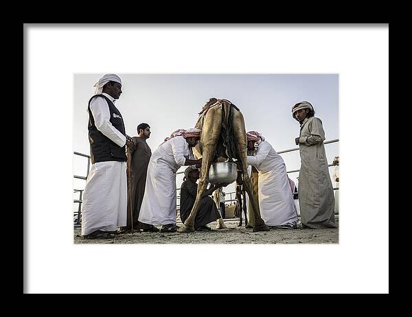 Street Framed Print featuring the photograph Milking by Rami Al Adwan