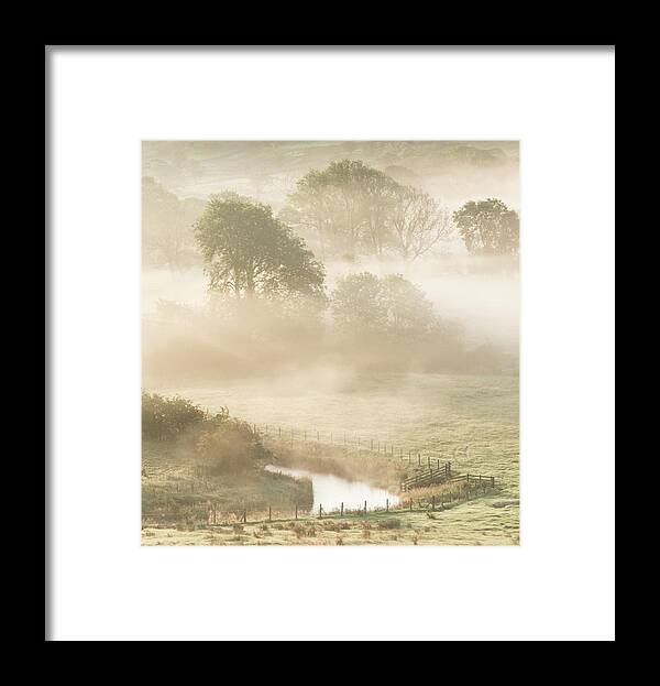 Mist Framed Print featuring the photograph Mist in the Vale by Anita Nicholson