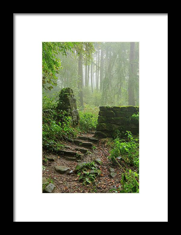 Tranquility Framed Print featuring the photograph Misty Woods In North Yorkshire by Louise Heusinkveld