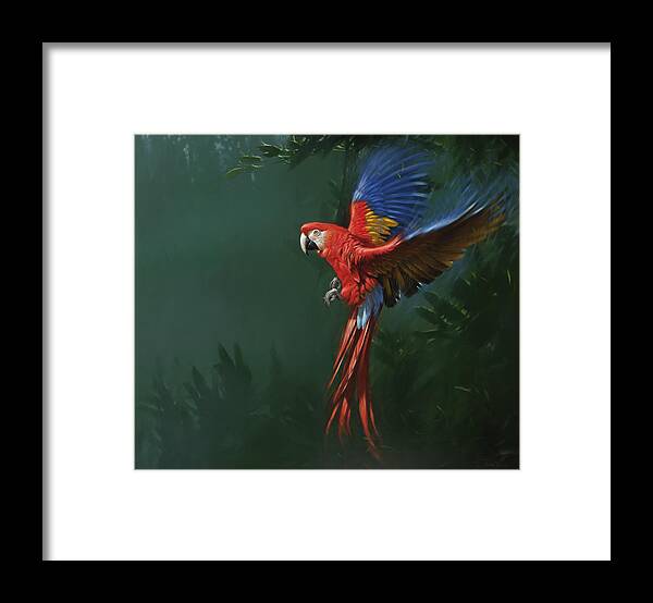 Macaw Framed Print featuring the photograph Mja-oil-wwl-70280 by Michael Jackson