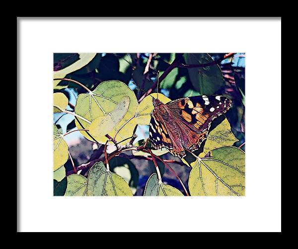 Monarch Framed Print featuring the photograph Monarch by George Garcia