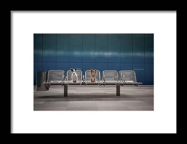 Dogs Framed Print featuring the photograph Monday Morning... by Heike Willers