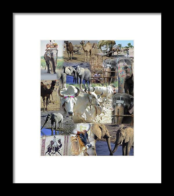 Africa Framed Print featuring the photograph Montage - Animals of Africa and India by Steve Estvanik