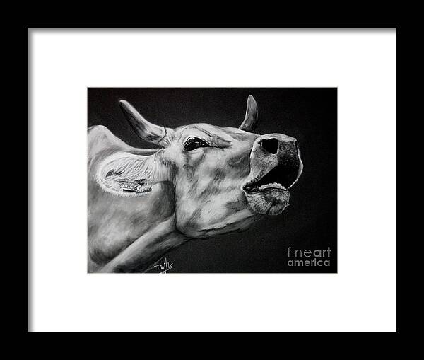 Drawing Framed Print featuring the drawing Moo by Terri Mills