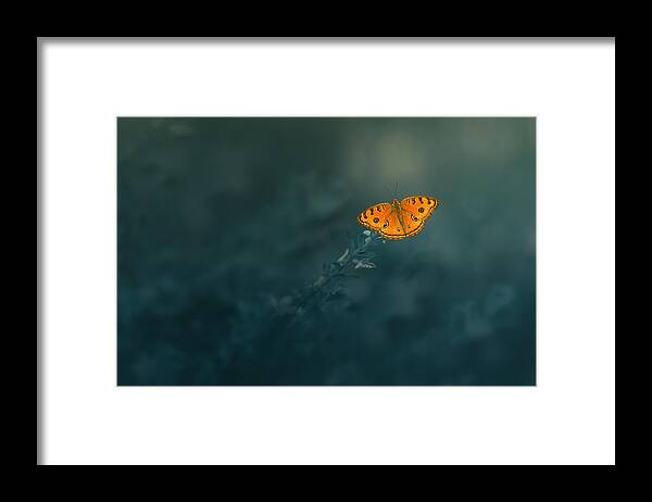  Framed Print featuring the photograph Mood Butterfly by Edy Pamungkas