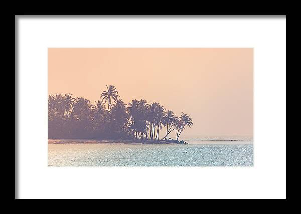 Trees Framed Print featuring the photograph Moody Topical Beach Background, Palm by Levente Bodo