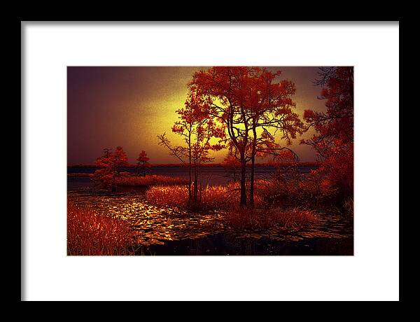 North Carolina Framed Print featuring the photograph Moonlit Night by Dan Carmichael