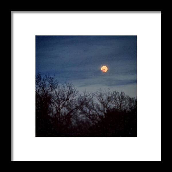 Daniel Framed Print featuring the painting Moonrise and Trees by Daniel Nelson
