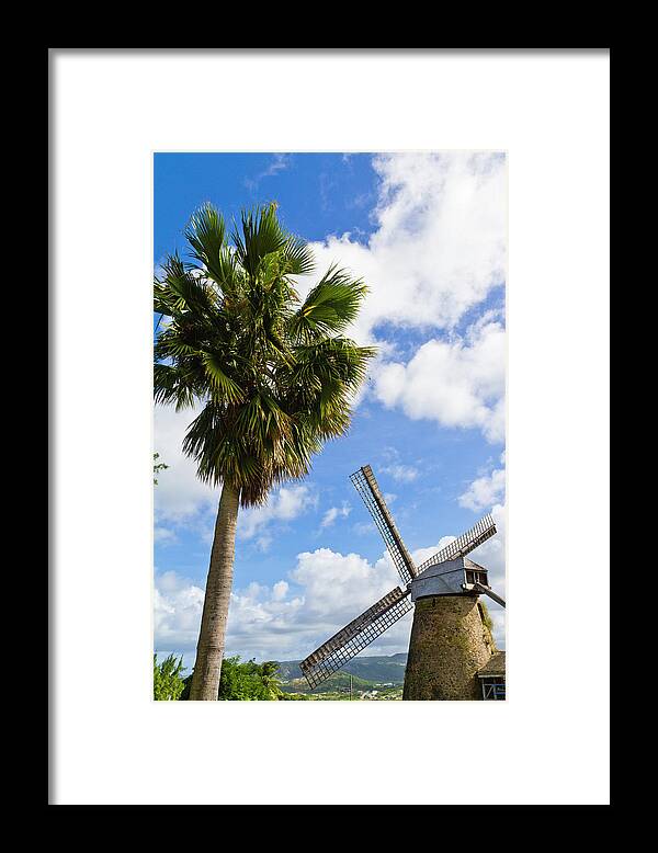 Tropical Tree Framed Print featuring the photograph Morgan Lewis Sugar Mill, Barbados by Oriredmouse