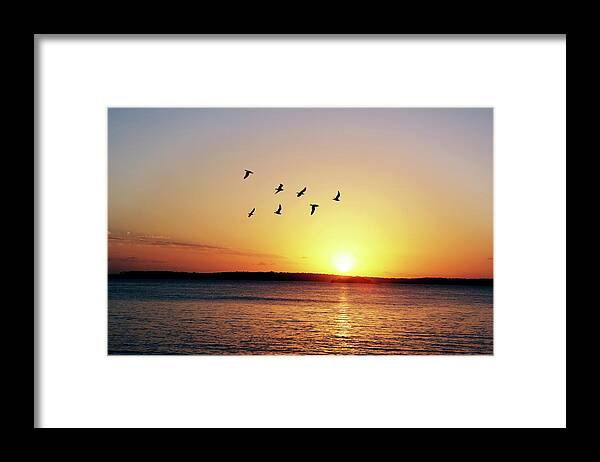 Scenics Framed Print featuring the photograph Morning Flight by Hidesy