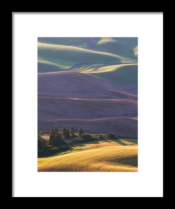 Palouse Framed Print featuring the photograph Morning Light by Aidong Ning