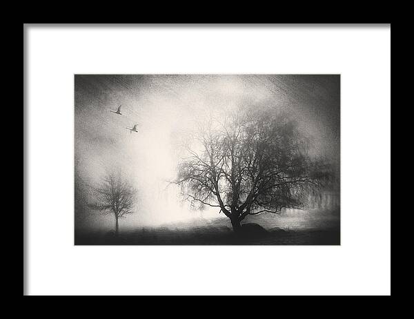 Morning Framed Print featuring the photograph Morning Mood by Gustav Davidsson