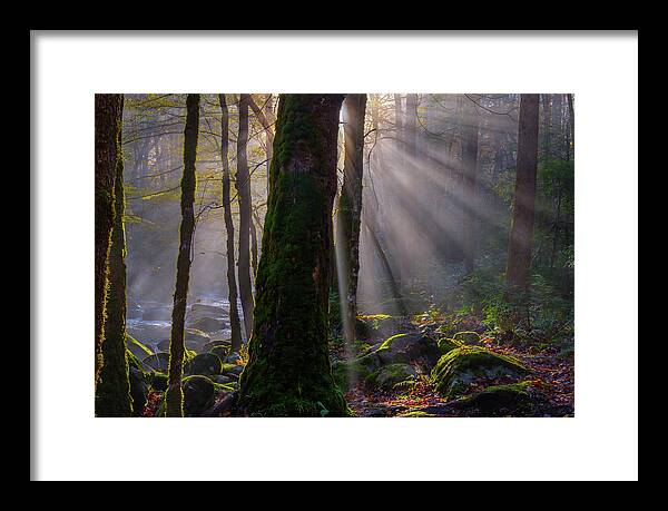 Fall Colors And Waterfall Framed Print featuring the photograph Morning Rays by Johnny Boyd