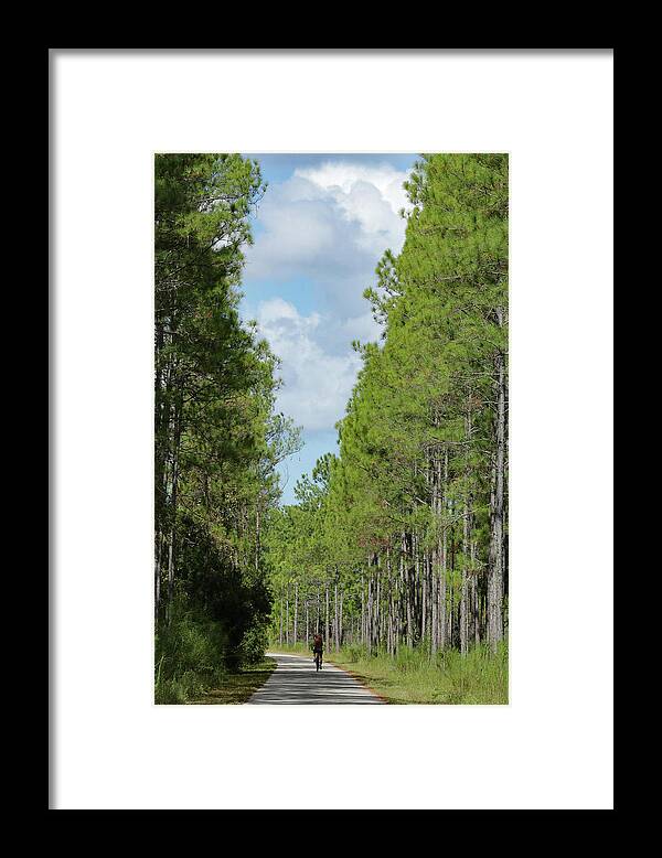 Bike Framed Print featuring the photograph Morning Ride by Rick Redman