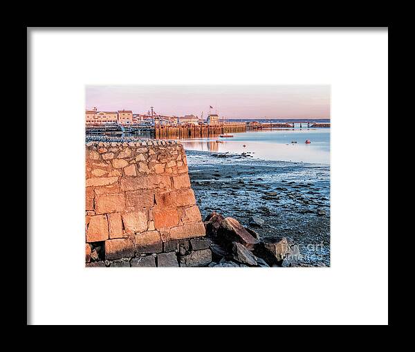 Morning Framed Print featuring the photograph Morning Sunlight by Janice Drew