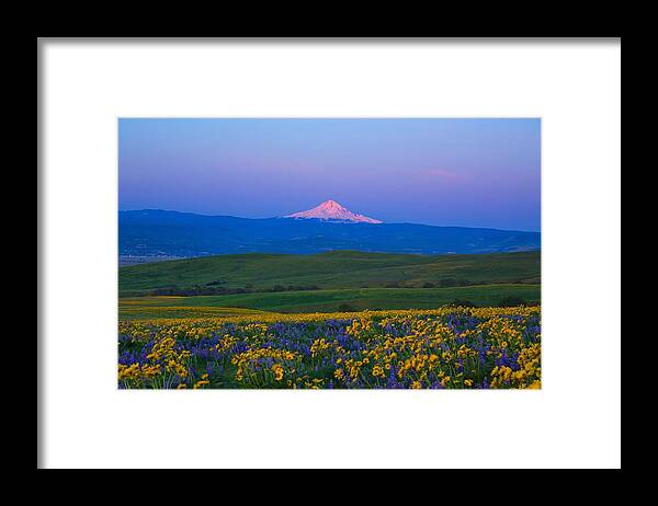 Morning View Of Mount Hood Framed Print featuring the photograph Morning view of Mount Hood by Lynn Hopwood
