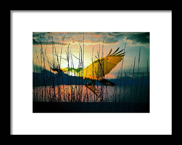 Mornings Catch Framed Print featuring the painting Mornings catch by David Lee Thompson