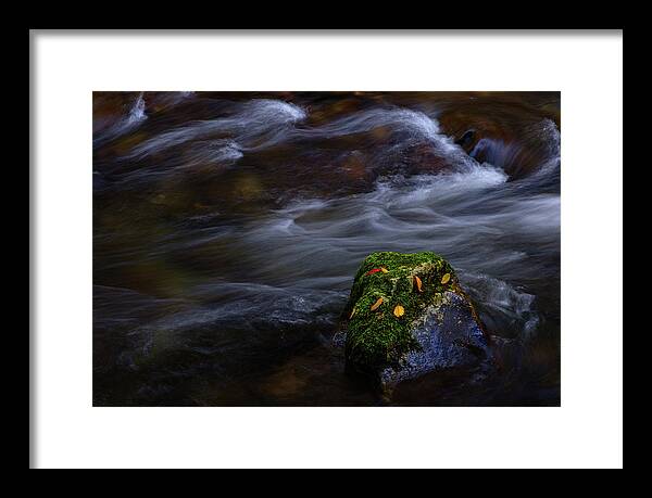 Sunset Framed Print featuring the photograph Moss Covered Rock by Johnny Boyd