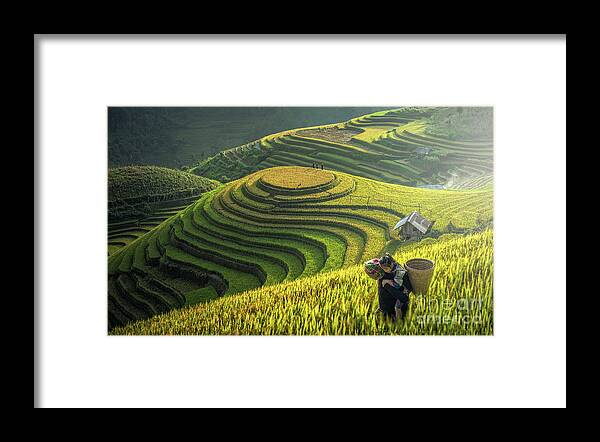 Toughness Framed Print featuring the photograph Mother And Dauther Hmong, Working by Std