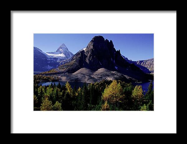 108.1 Framed Print featuring the photograph Mount Assiniboine 3653m Tallest by Nhpa