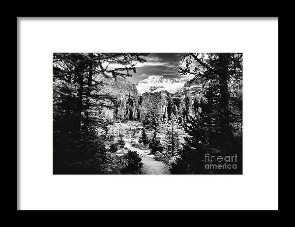 Fine Art Black And White Framed Print featuring the photograph Mount Fay from Larch Valley Trail by Steve Ember
