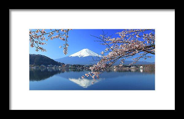 Tranquility Framed Print featuring the photograph Mount Fuji And Sakura by Photo By Prasit Chansareekorn