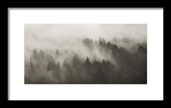 Fog Framed Print featuring the photograph Mountain Forest In A Dense Morning Fog by Norbert Maier