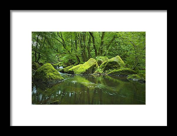 Scenics Framed Print featuring the photograph Mountain Stream With Green Rocks by Hiob