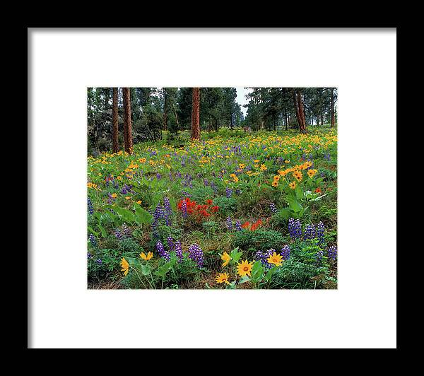 Idaho Scenics Framed Print featuring the photograph Mountain Wildflowers by Leland D Howard