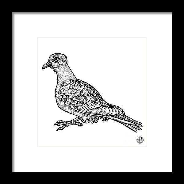 Animal Portrait Framed Print featuring the drawing Mourning Dove by Amy E Fraser
