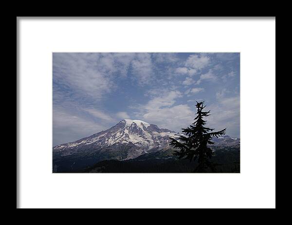 Fir Framed Print featuring the photograph Mt. Rainier, with conifer forest by Steve Estvanik