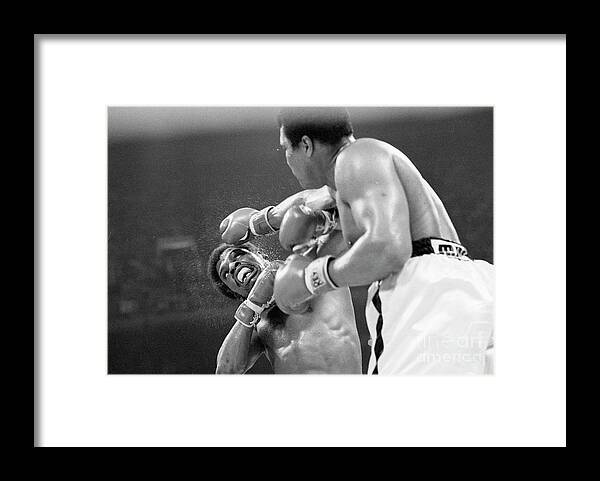 People Framed Print featuring the photograph Muhammad Ali Punching Leon Spinks by Bettmann