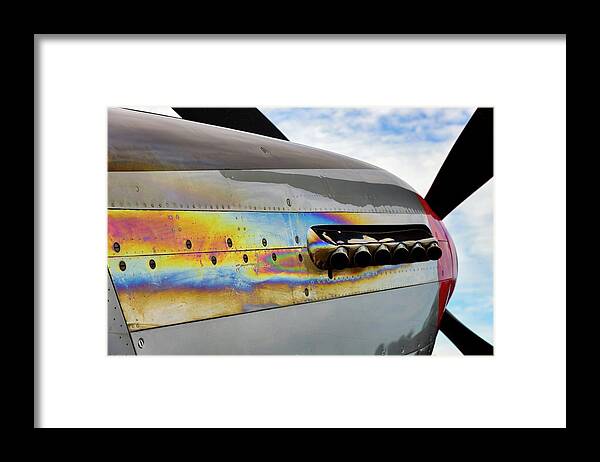 Mustang Framed Print featuring the photograph Mustang Colors by Chris Buff